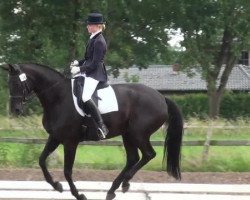 Broodmare Esperance K (Oldenburger, 2001, from Epikur)