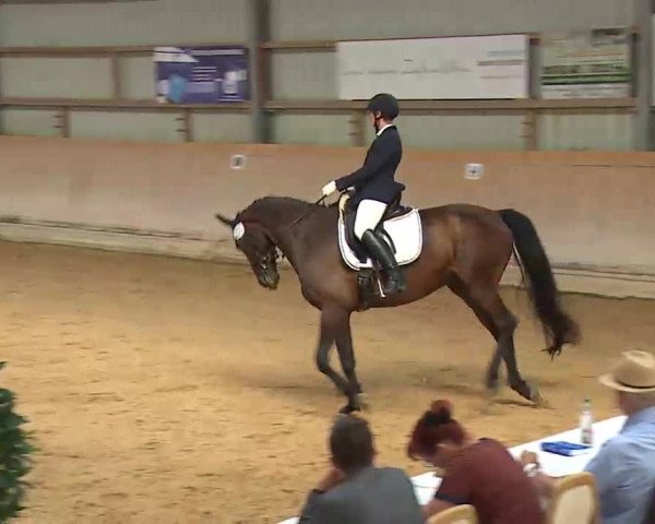 Reitturnier Bad Windsheim/Mfr. 2022