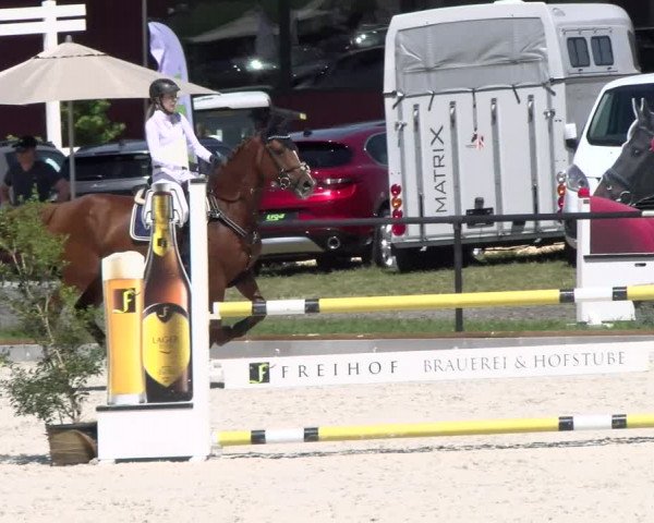 Reitturnier Gossau 2022