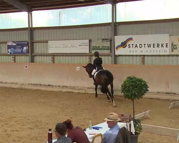 Reitturnier Bad Windsheim/Mfr. 2022