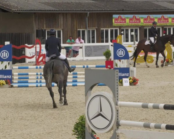 Reitturnier Memmingen/Schw. 2022