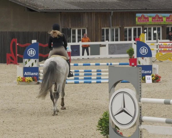 Reitturnier Memmingen/Schw. 2022
