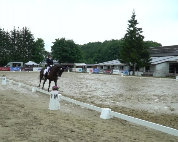 Reitturnier Bad Marienberg - OT Nisterau 2022