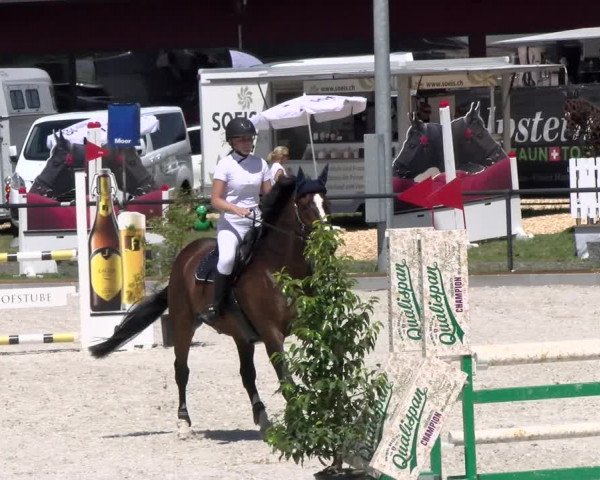 Reitturnier Gossau 2022