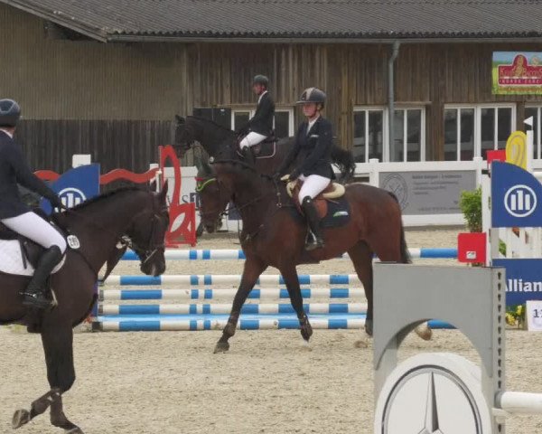 Reitturnier Memmingen/Schw. 2022