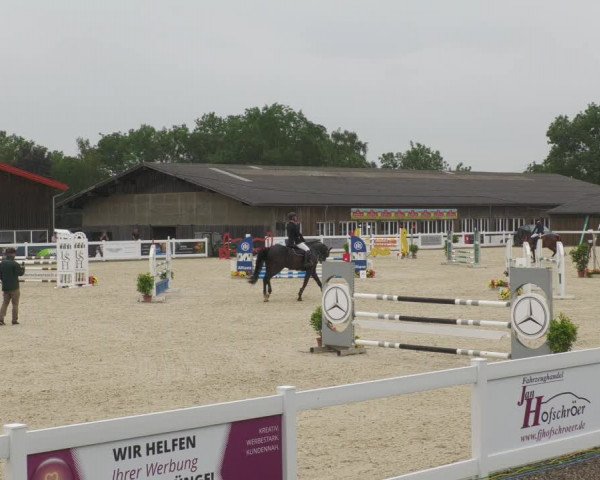 Reitturnier Memmingen/Schw. 2022
