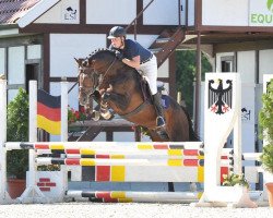 Cavallo Don Million (Oldenburger, 2004, di Don Larino 171 FIN)