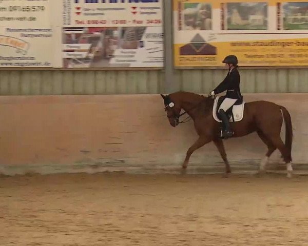Reitturnier Bad Windsheim/Mfr. 2022