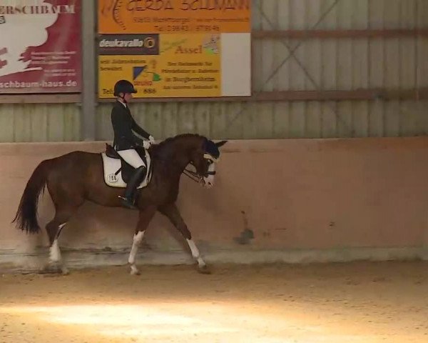 Reitturnier Bad Windsheim/Mfr. 2022
