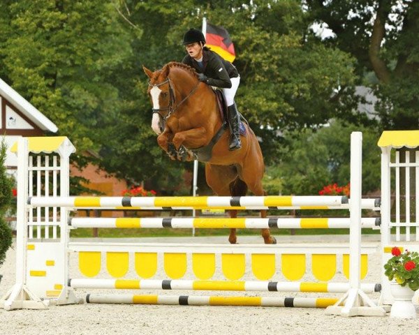 broodmare Lordanos Little Lady (Hanoverian, 2007, from Lordanos)
