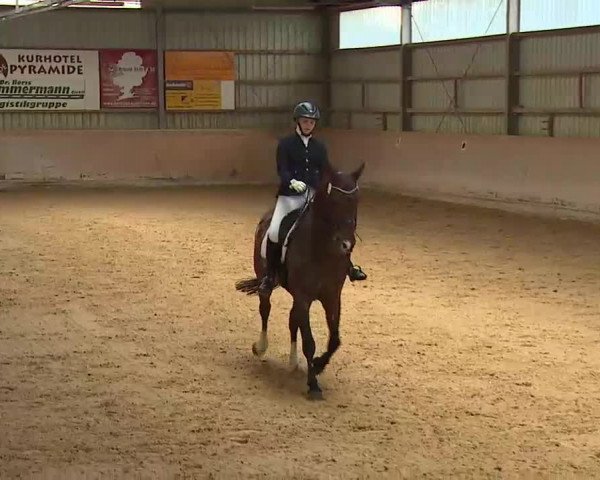 Reitturnier Bad Windsheim/Mfr. 2022