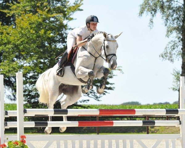 broodmare Lucie (Hanoverian, 2007, from Lord Pezi)