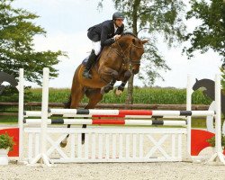 jumper Arki A (Oldenburg, 2006, from Argentinus)