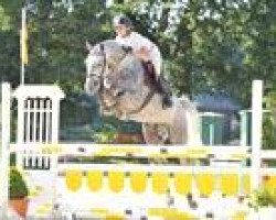 jumper Crossfire (Oldenburg, 2008, from Colbert GTI)