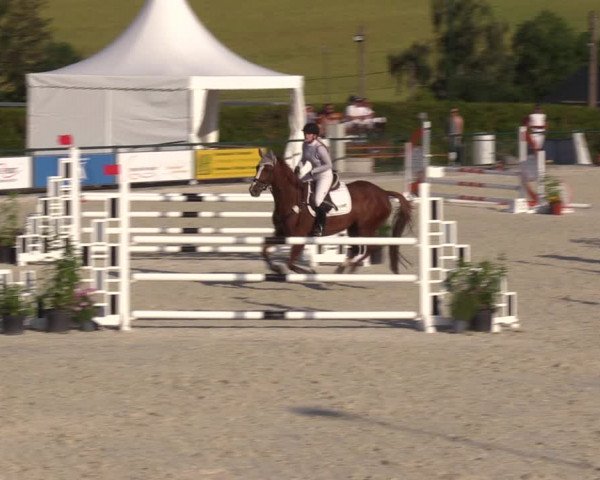 Reitturnier Immenrode 2022