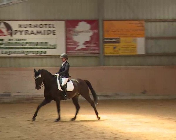 Reitturnier Bad Windsheim/Mfr. 2022
