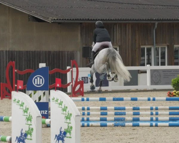 Reitturnier Memmingen/Schw. 2022