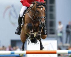 broodmare Curley Sue 39 (Bavarian, 2005, from Caretello B)