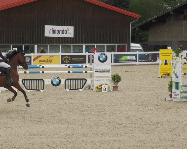 Reitturnier Memmingen/Schw. 2022