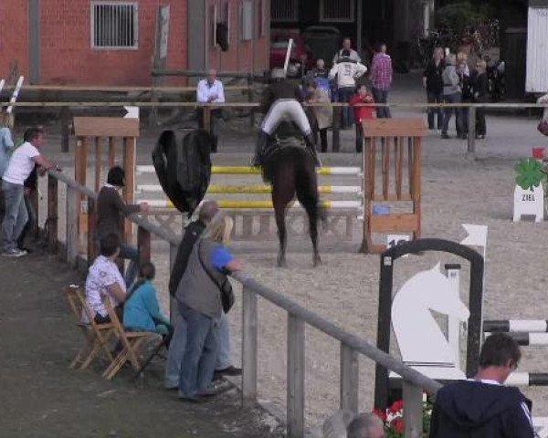 jumper Caprice 322 (Westphalian, 1999, from Cinamant K)