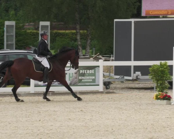 Reitturnier Memmingen/Schw. 2022