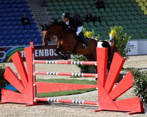 broodmare Clifford Cr (German Warmblood, 2004, from Clearway)