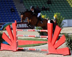 broodmare Clifford Cr (German Warmblood, 2004, from Clearway)
