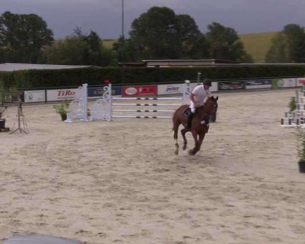 Reitturnier Immenrode 2022
