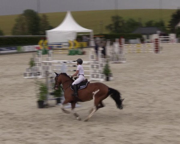 Reitturnier Immenrode 2022
