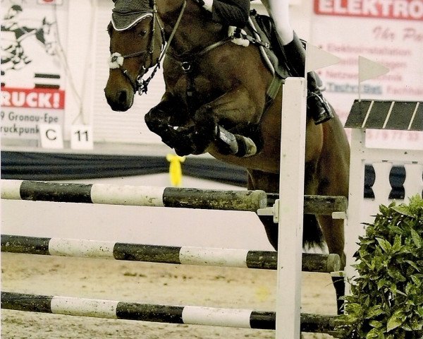 Springpferd Unabelle G (Bayer, 2000, von Calvin)