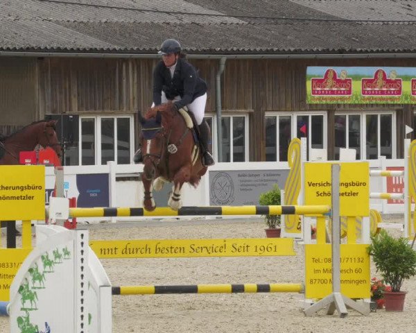 Reitturnier Memmingen/Schw. 2022