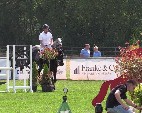 Reitturnier Schillerslage 2022