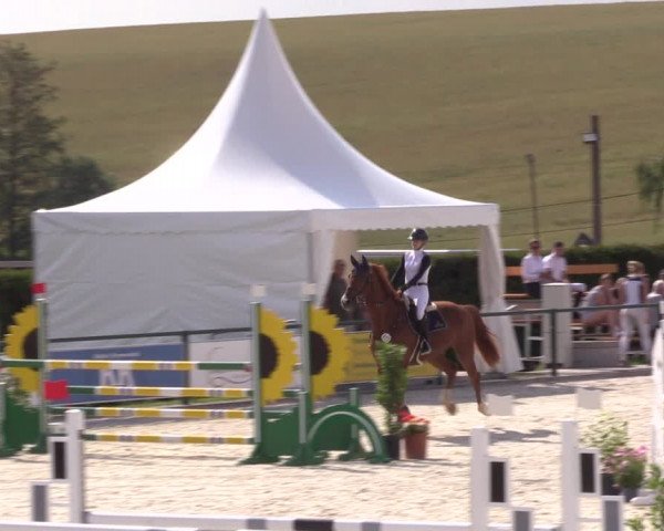 Reitturnier Immenrode 2022