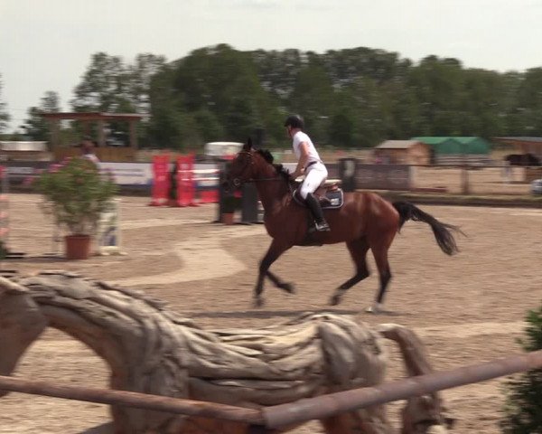 Reitturnier Pausin 2022