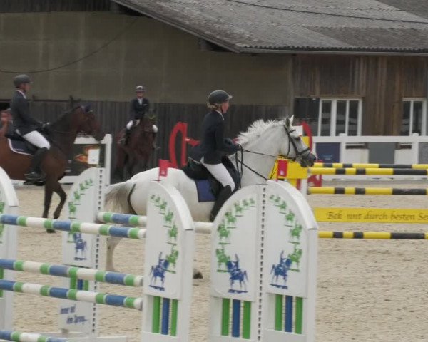 Reitturnier Memmingen/Schw. 2022