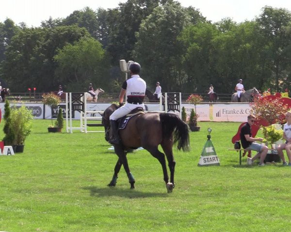 Reitturnier Schillerslage 2022