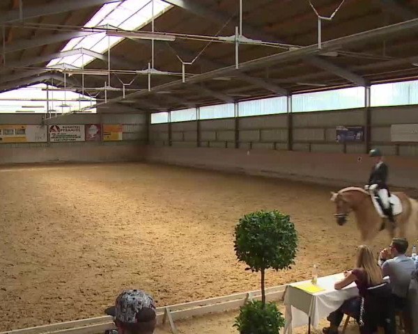 Reitturnier Bad Windsheim/Mfr. 2022