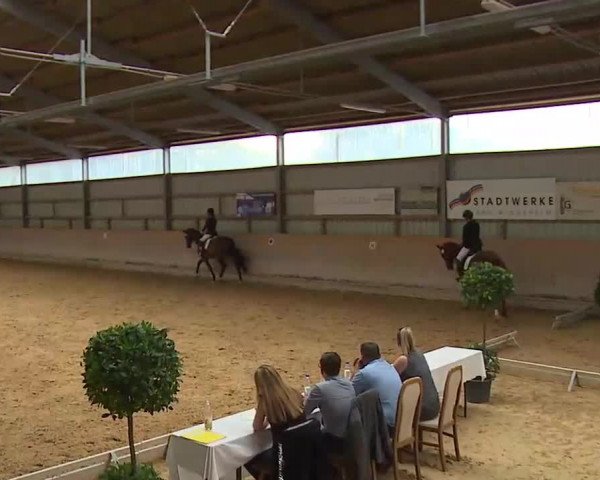 Reitturnier Bad Windsheim/Mfr. 2022