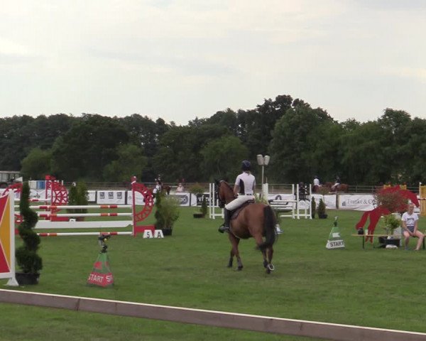 Reitturnier Schillerslage 2022