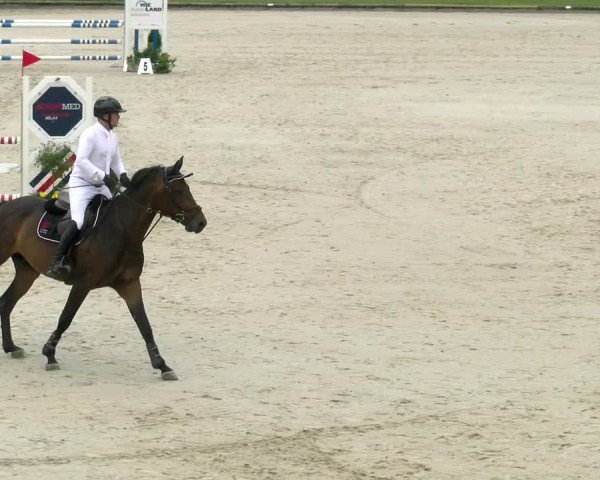 Reitturnier Maienfeld 2022