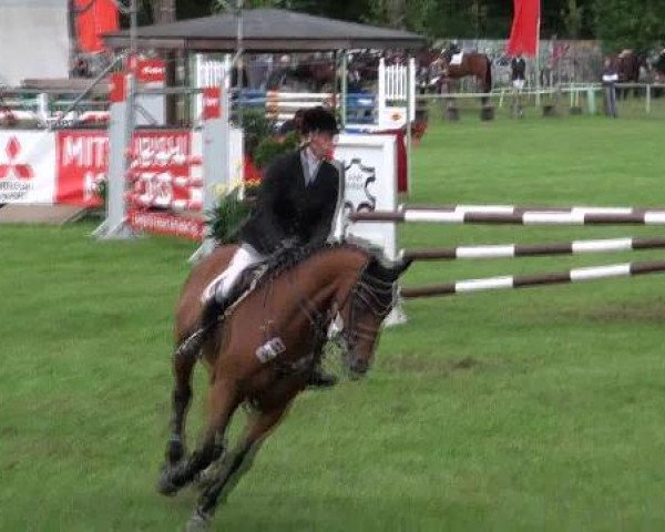 jumper Asherah (German Sport Horse, 2006, from Askari)