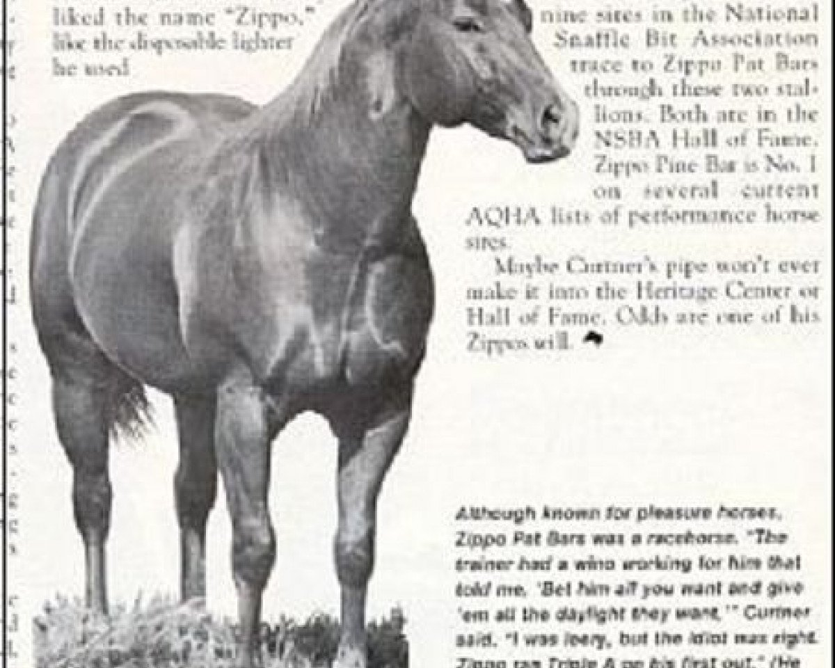 stallion Zippo Pat Bars (Quarter Horse, 1964, from Three Bars xx)