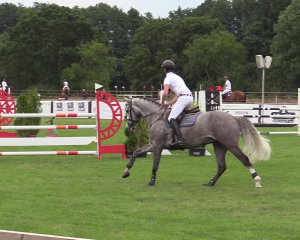 Reitturnier Schillerslage 2022