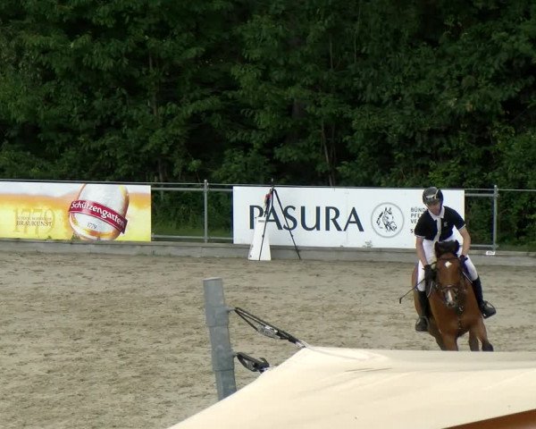 Reitturnier Maienfeld 2022