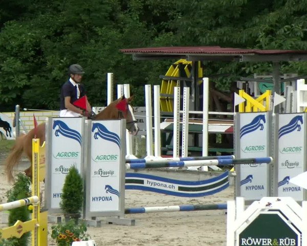 Reitturnier Maienfeld 2022