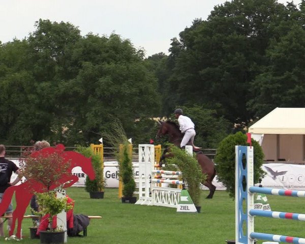 Reitturnier Schillerslage 2022