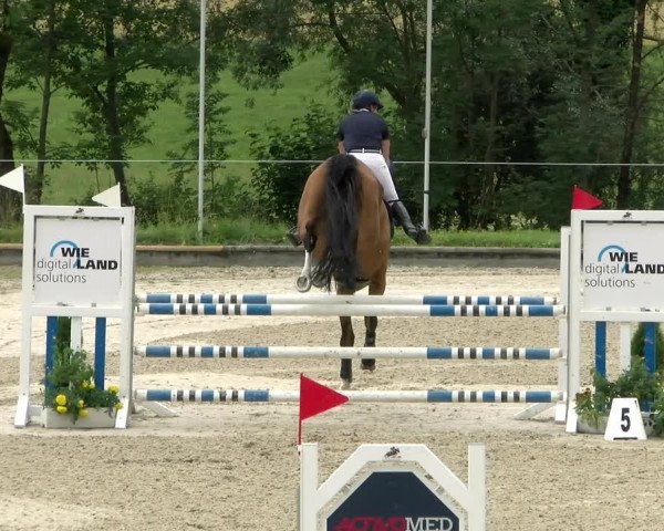 Reitturnier Maienfeld 2022
