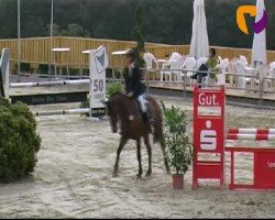 Jumper Campeche Z (Zangersheide Riding Horse, 2008)