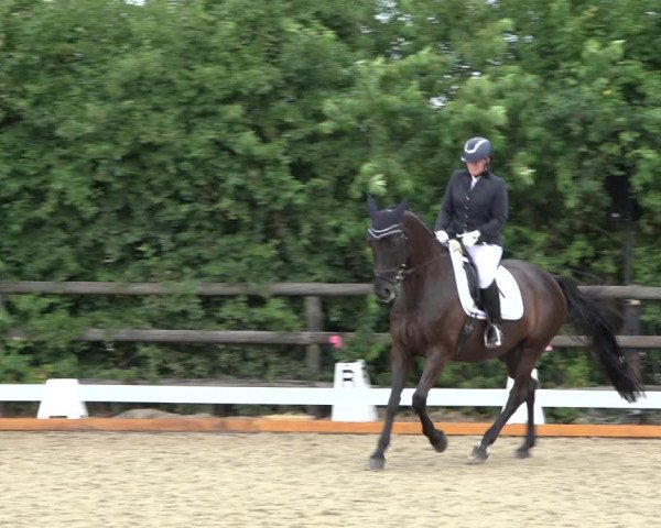 Reitturnier Schillerslage 2022