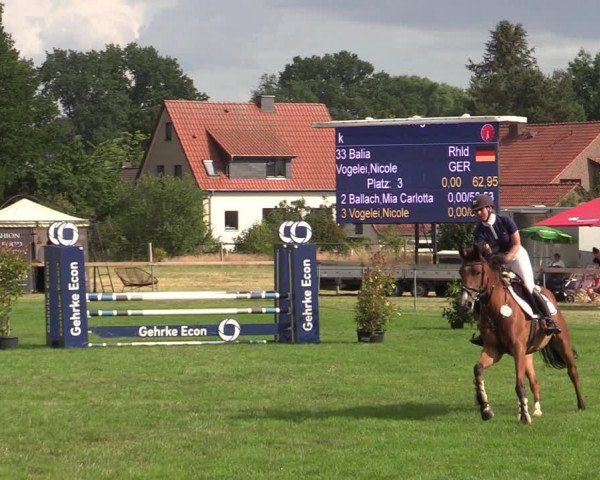 Reitturnier Schillerslage 2022
